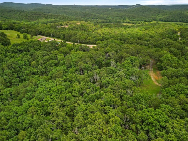 53 County Road 803a, Gainesville, MO 65655 - drone / aerial view of a forest