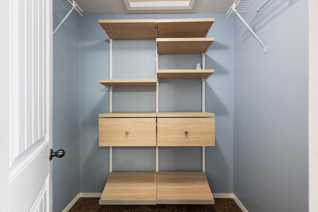 1311 Nitro Dr, Ozark, MO 65721 - walk in closet featuring carpet floors