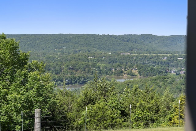 323 Shadrack Rd, Cape Fair, MO 65624 - view of mountain background with a forest and a nearby body of water