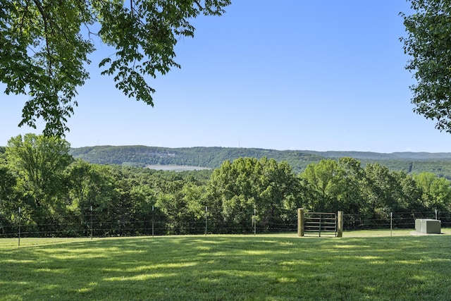 323 Shadrack Rd, Cape Fair, MO 65624 - mountain view featuring a forest