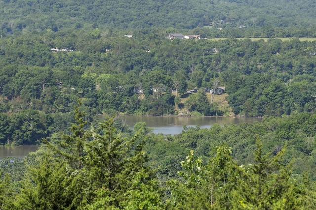 323 Shadrack Rd, Cape Fair, MO 65624 - aerial overview of property's location featuring a heavily wooded area and a large body of water