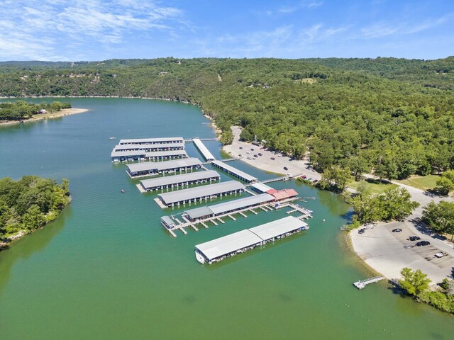 323 Shadrack Rd, Cape Fair, MO 65624 - bird's eye view of a heavily wooded area and a nearby body of water