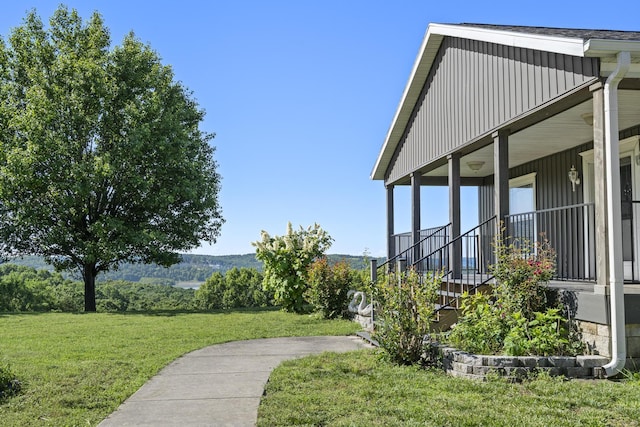 323 Shadrack Rd, Cape Fair, MO 65624 - view of grassy yard
