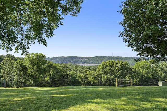 323 Shadrack Rd, Cape Fair, MO 65624 - view of yard with a forest view