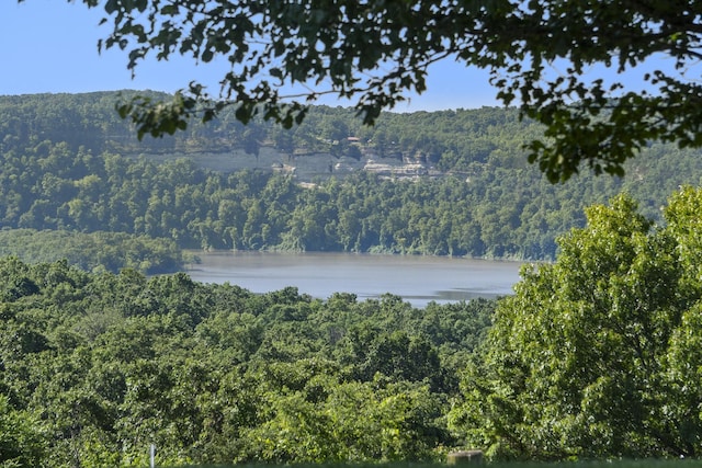 323 Shadrack Rd, Cape Fair, MO 65624 - water view with a forest