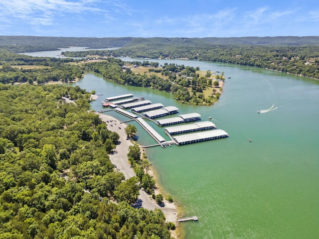 323 Shadrack Rd, Cape Fair, MO 65624 - bird's eye view of a forest and a large body of water