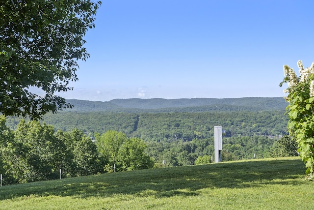 323 Shadrack Rd, Cape Fair, MO 65624 - view of mountain backdrop with a heavily wooded area