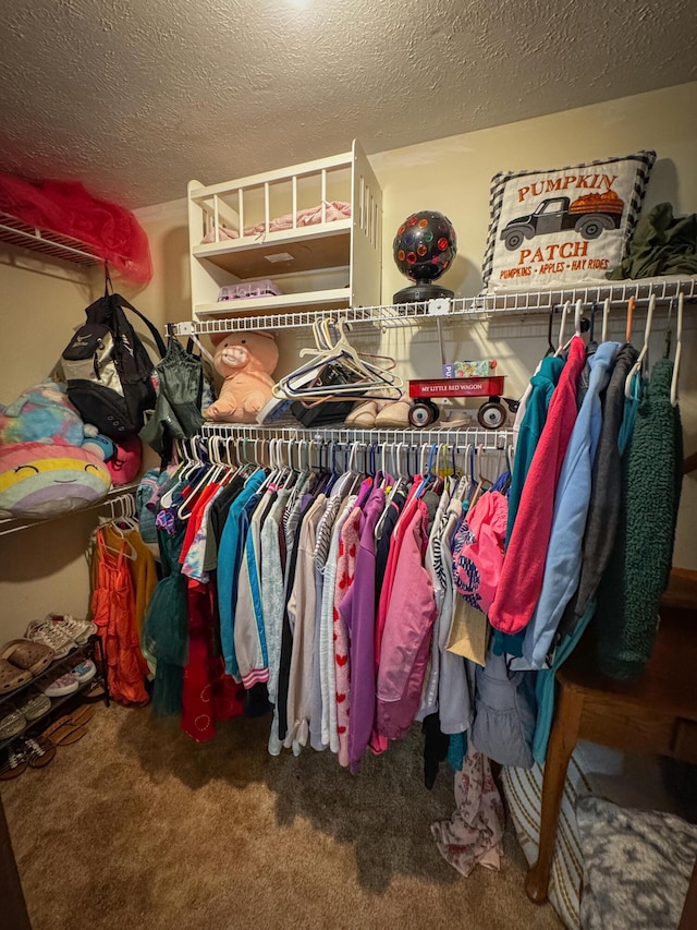 5350 E Farm Road 168, Rogersville, MO 65742 - spacious closet with carpet flooring