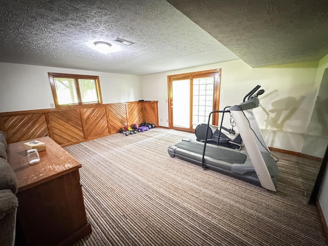 5350 E Farm Road 168, Rogersville, MO 65742 - exercise room featuring carpet flooring, a wainscoted wall, a textured ceiling, and wood walls