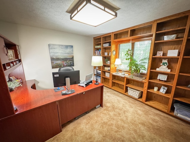5350 E Farm Road 168, Rogersville, MO 65742 - office area featuring a textured ceiling and carpet flooring