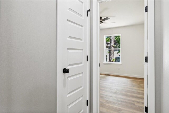 1239 W Arlington Ct, Springfield, MO 65803 - hallway with wood finished floors and baseboards