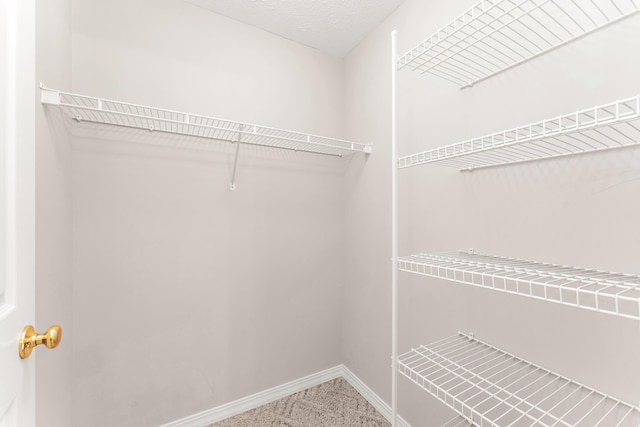 315 Rock Ridge Rd, Branson West, MO 65737 - spacious closet featuring carpet flooring