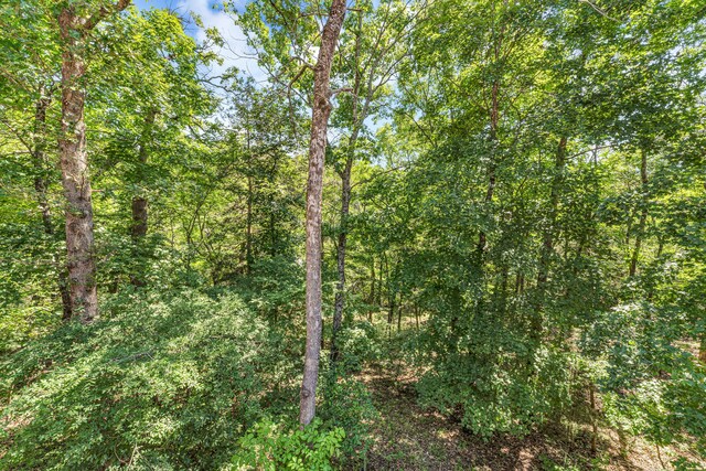 315 Rock Ridge Rd, Branson West, MO 65737 - view of woods