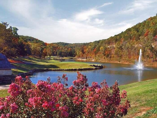 343 Cedar Glade Dr, Branson West, MO 65737 - water view featuring a heavily wooded area