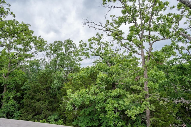 343 Cedar Glade Dr, Branson West, MO 65737 - view of undeveloped land