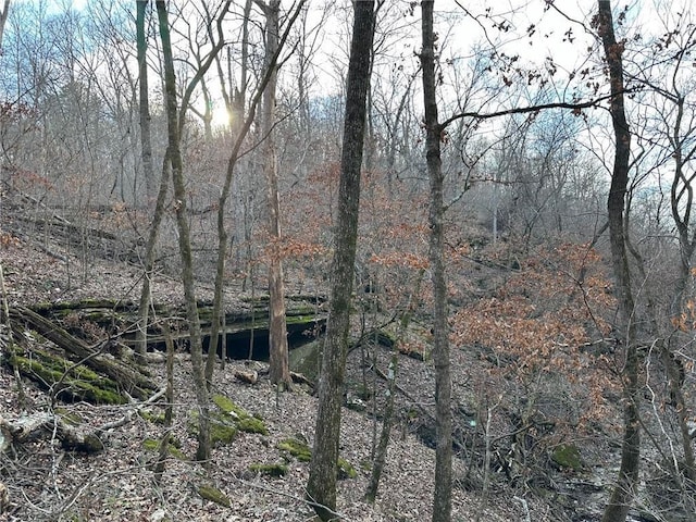539 Thompson Ln, Noel, MO 64854