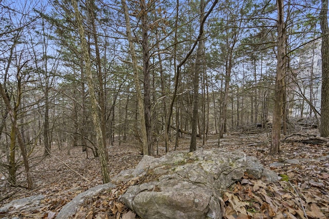 LOT24 High St, Kimberling City, MO 65686
