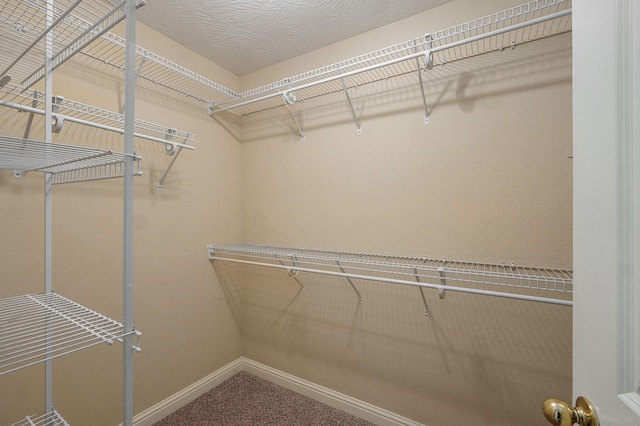 2304 S 12th St, Ozark, MO 65721 - walk in closet featuring carpet floors