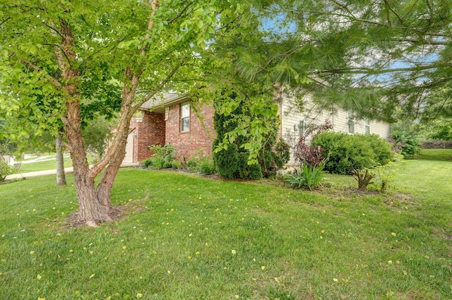 2304 S 12th St, Ozark, MO 65721 - view of green lawn