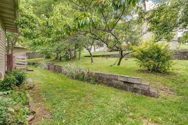 2304 S 12th St, Ozark, MO 65721 - view of green lawn