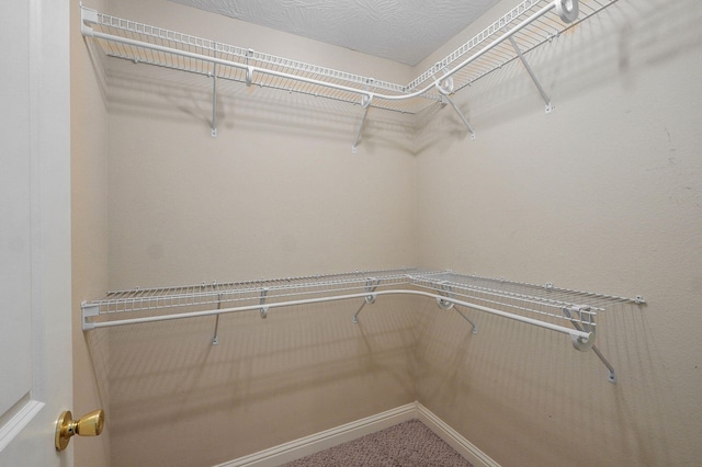 2304 S 12th St, Ozark, MO 65721 - walk in closet featuring carpet floors