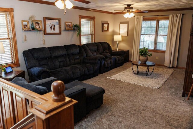 1111 W Northwood Cir, Bolivar, MO 65613 - photo 10