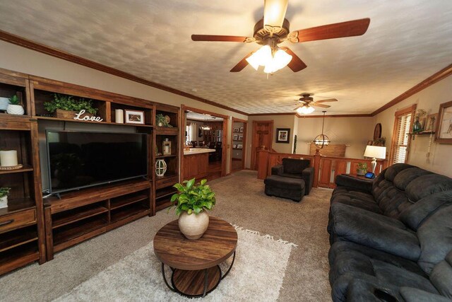 1111 W Northwood Cir, Bolivar, MO 65613 - photo 8