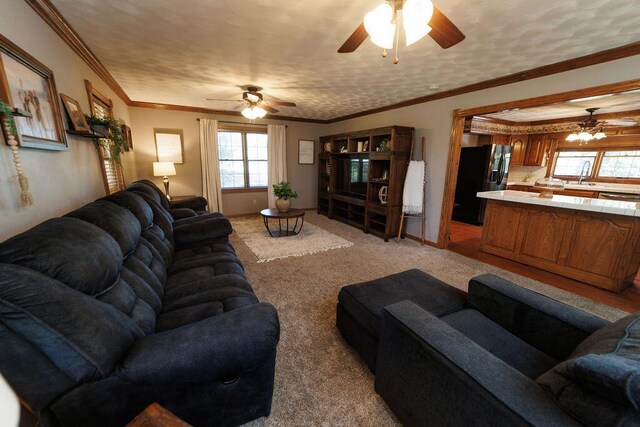 1111 W Northwood Cir, Bolivar, MO 65613 - photo 9