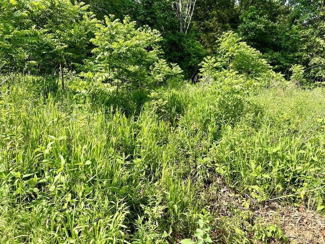 0 SW 50th Rd, Osceola, MO 64776 - photo 19