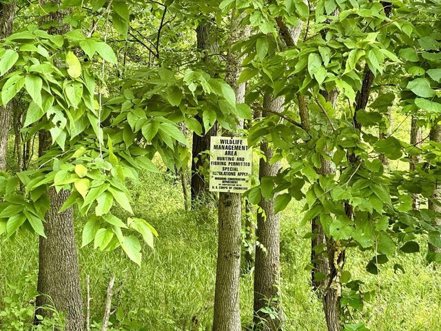 0 SW 50th Rd, Osceola, MO 64776 - photo 25