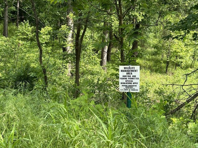 0 SW 50th Rd, Osceola, MO 64776 - photo 26