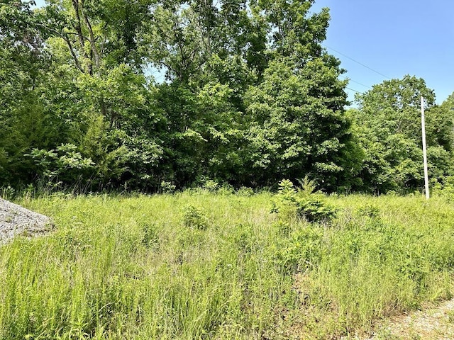 0 SW 50th Rd, Osceola, MO 64776 - photo 2