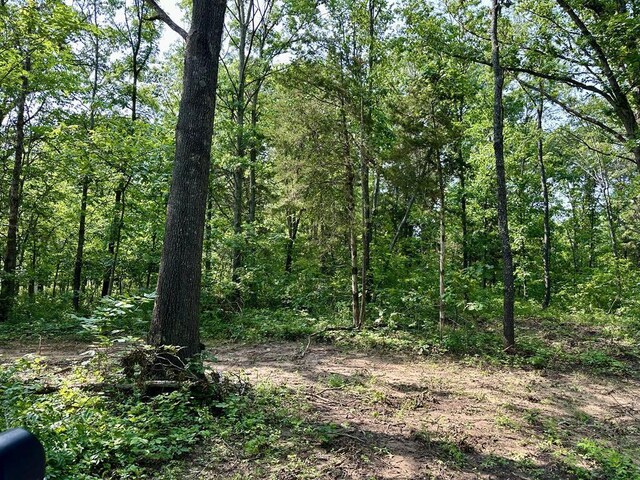 0 SW 50th Rd, Osceola, MO 64776 - photo 7
