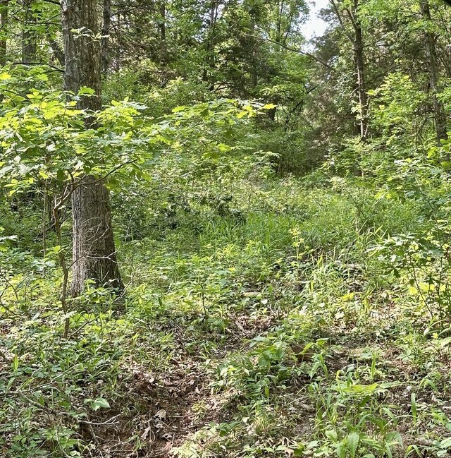 0 SW 50th Rd, Osceola, MO 64776 - photo 10
