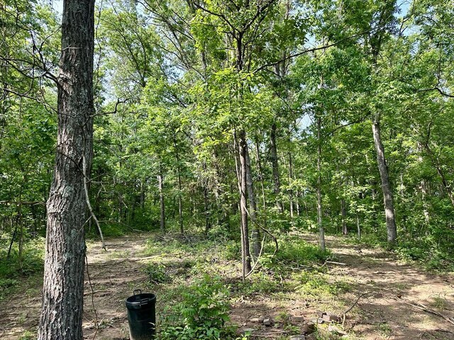 0 SW 50th Rd, Osceola, MO 64776 - photo 8