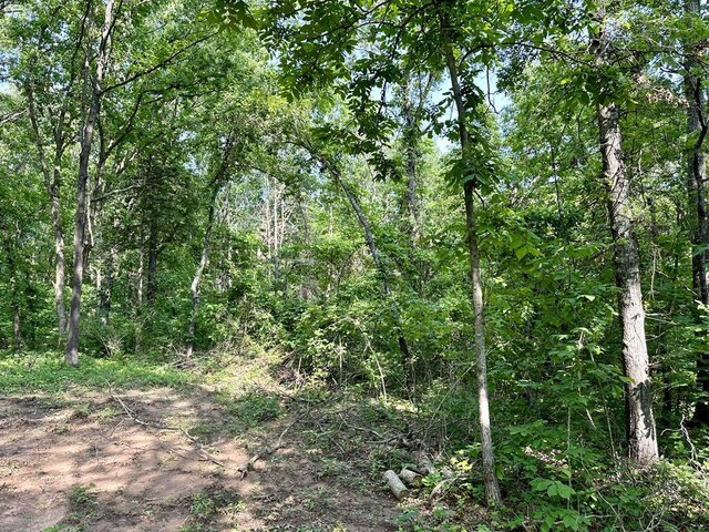 0 SW 50th Rd, Osceola, MO 64776 - photo 6