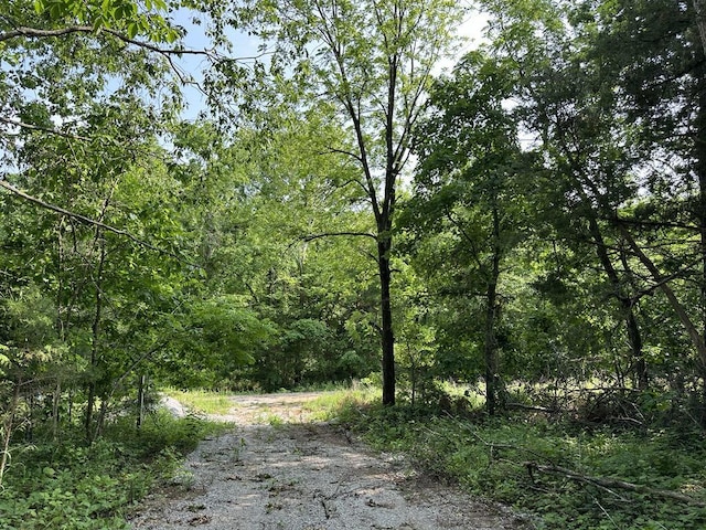 0 SW 50th Rd, Osceola, MO 64776 - photo 4