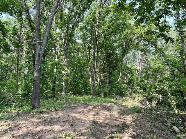 0 SW 50th Rd, Osceola, MO 64776 - photo 9