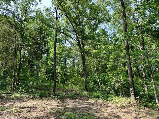 0 SW 50th Rd, Osceola, MO 64776 - photo 5