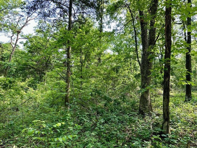 0 SW 50th Rd, Osceola, MO 64776 - photo 12
