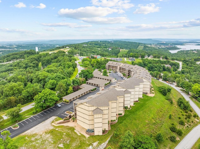 130 Royal Vista Dr Unit 601, Branson, MO 65616 - drone / aerial view