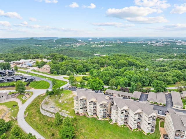 130 Royal Vista Dr Unit 601, Branson, MO 65616 - aerial view of a forest