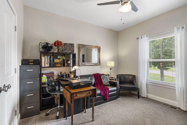 94 W Pine Ln, Reeds Spring, MO 65737 - carpeted office space featuring healthy amount of natural light, ceiling fan, and baseboards