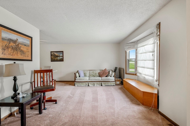 2711 E Stanford St, Springfield, MO 65804 - living area with carpet floors, a textured ceiling, and baseboards