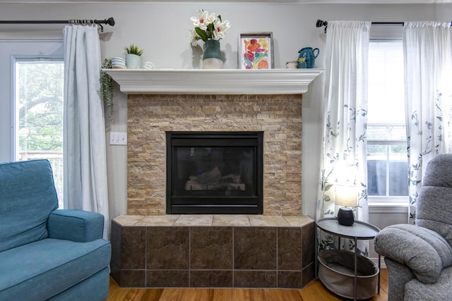 326 Country Bluff Dr, Branson, MO 65616 - living area featuring wood finished floors, a glass covered fireplace, and plenty of natural light