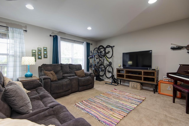 326 Country Bluff Dr, Branson, MO 65616 - living area with carpet flooring and recessed lighting