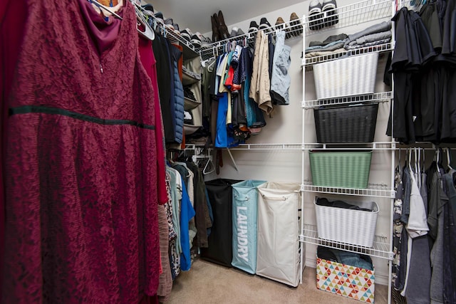 326 Country Bluff Dr, Branson, MO 65616 - walk in closet featuring carpet