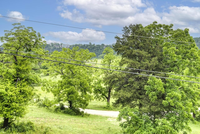 326 Country Bluff Dr, Branson, MO 65616 - view of yard