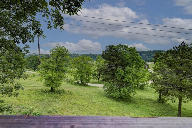 326 Country Bluff Dr, Branson, MO 65616 - view of yard
