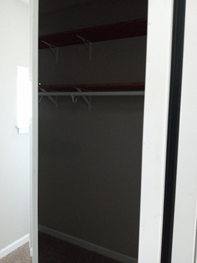 3271 Oak Grove Cir, Flemington, MO 65650 - view of closet